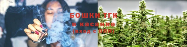 крисы Аркадак