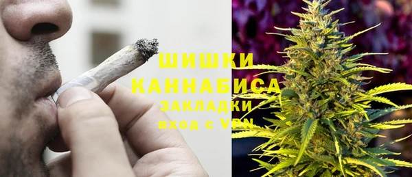 крисы Аркадак