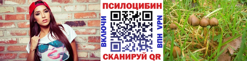 Псилоцибиновые грибы GOLDEN TEACHER купить Бабушкин