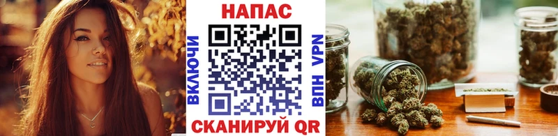 Бошки марихуана планчик  ОМГ ОМГ онион  Бабушкин  продажа наркотиков 